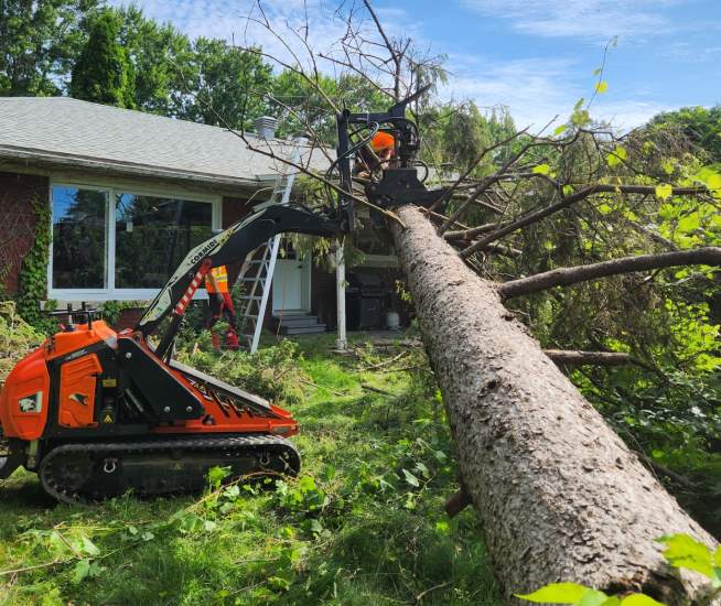 Abattage d arbre Longueuil