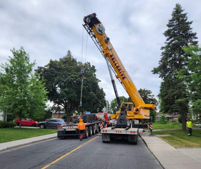 Abattage d arbre Longueuil