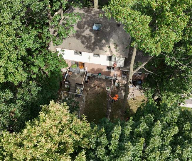 Abattage d arbre Longueuil