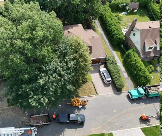 Arboriculture Longueuil