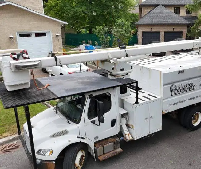 Arboriculture Longueuil