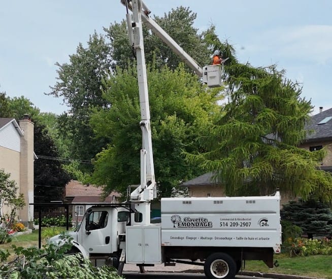 Élagage Longueuil