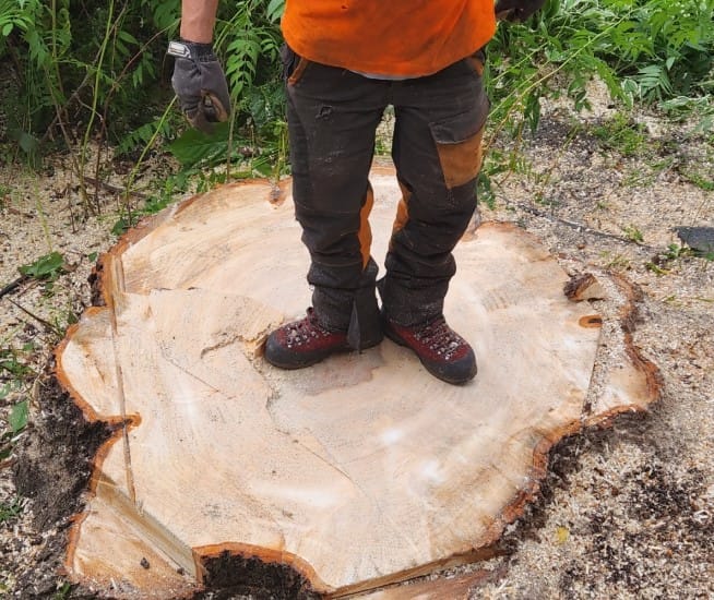 Essouchage Longueuil