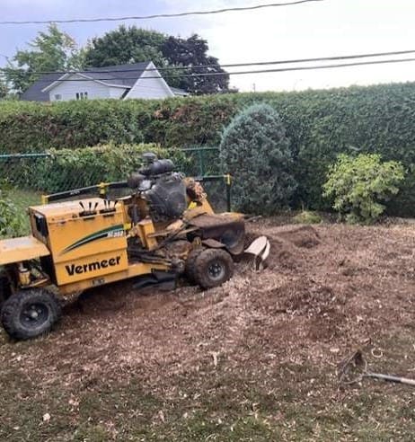 Essouchage Longueuil