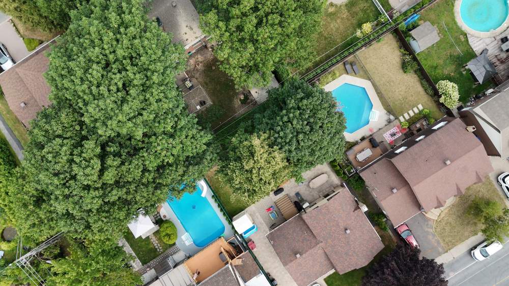 Réalisation de Clavette Émondage