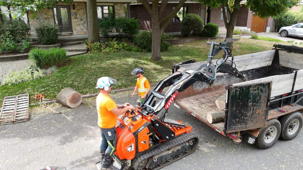 Réalisation de Clavette Émondage