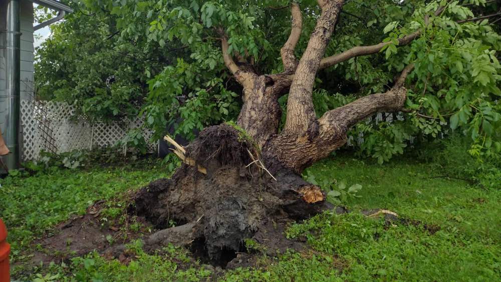 Réalisation de Clavette Émondage