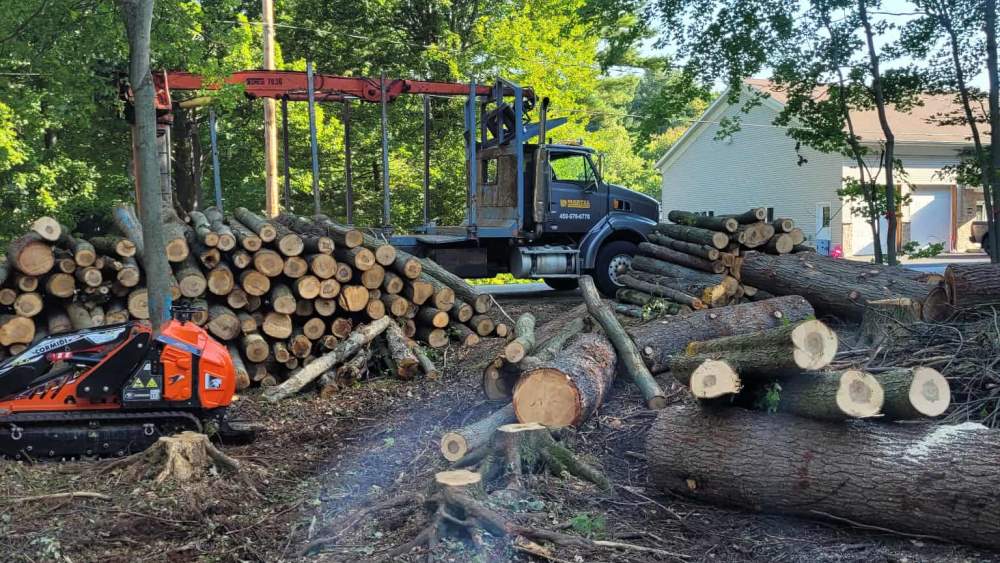 Réalisation de Clavette Émondage