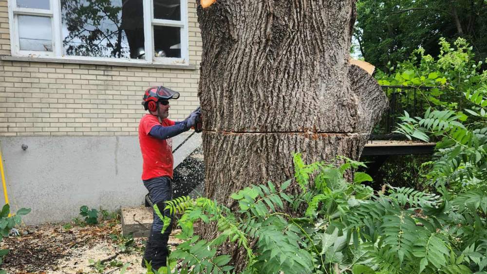 Réalisation de Clavette Émondage