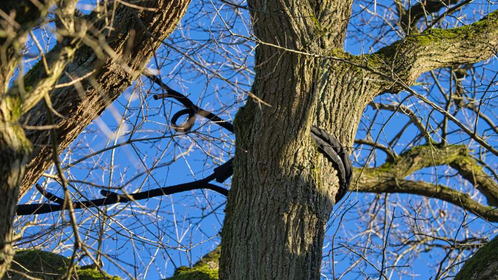 Réalisation de Clavette Émondage