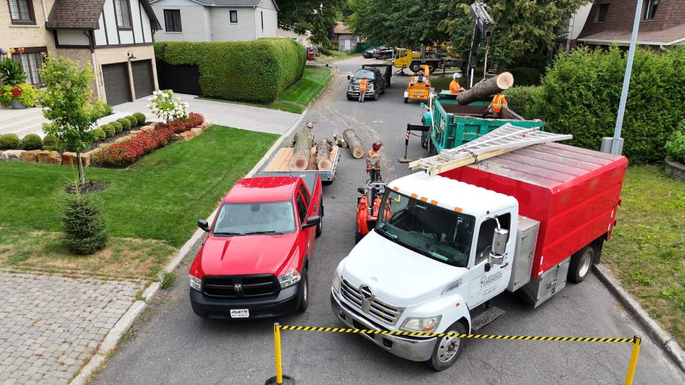 Réalisation de Clavette Émondage