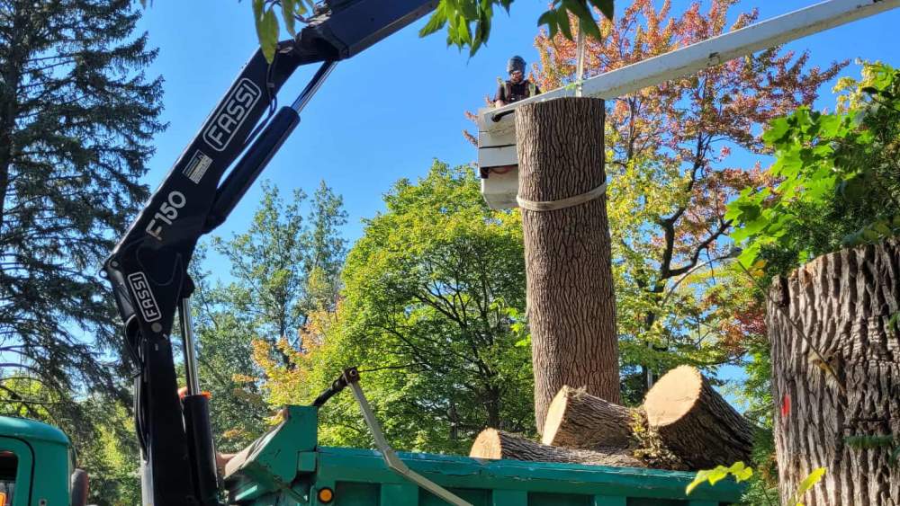 Réalisation de Clavette Émondage