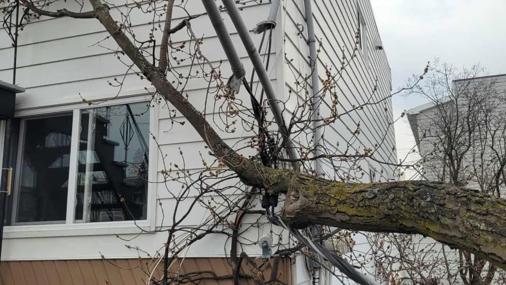 Réalisation de Clavette Émondage