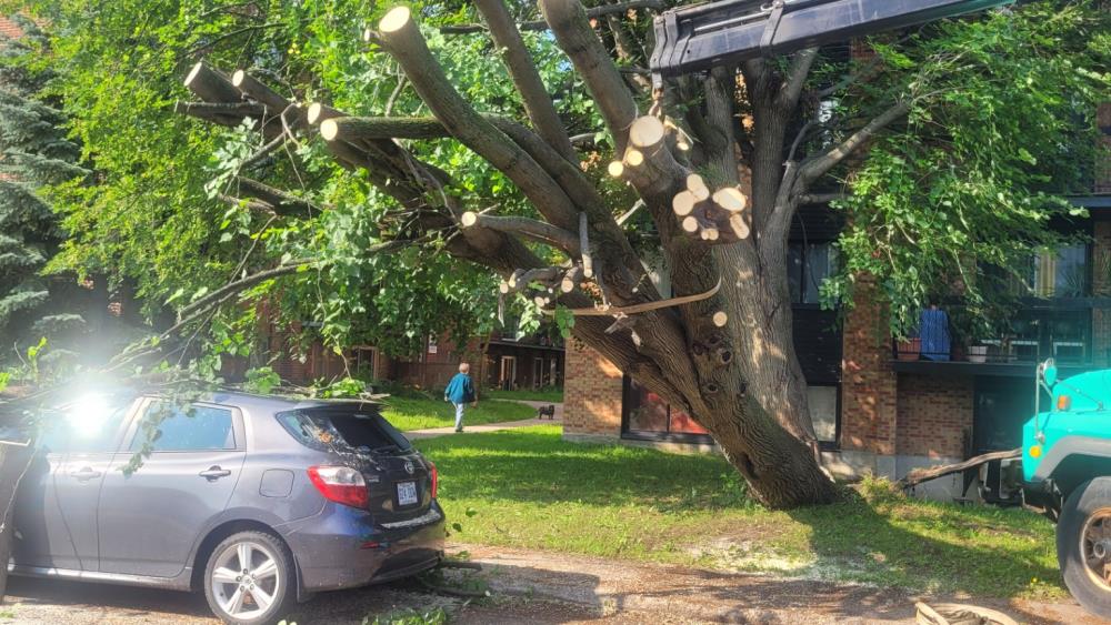 Réalisation de Clavette Émondage