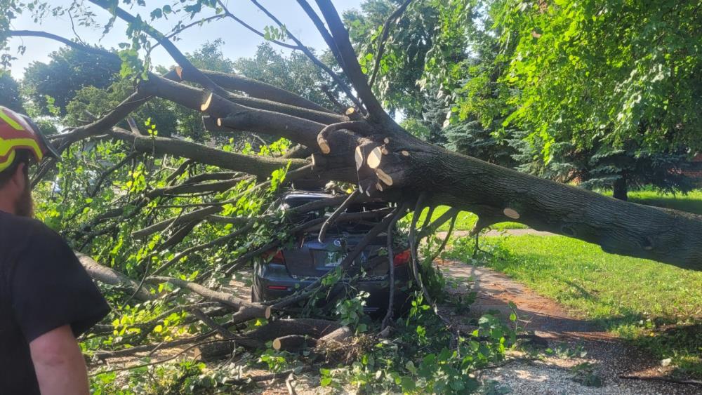Réalisation de Clavette Émondage