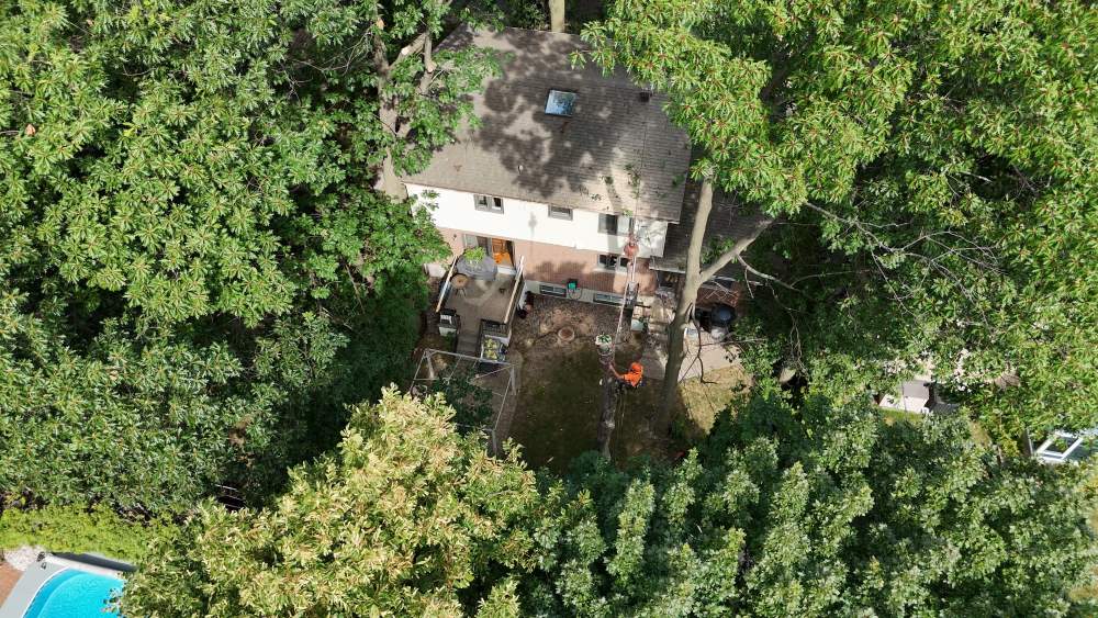 Réalisation de Clavette Émondage