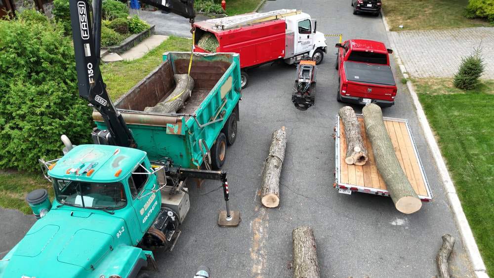 Réalisation de Clavette Émondage