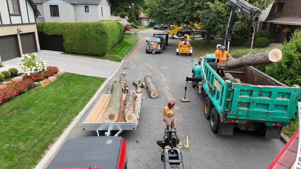 Réalisation de Clavette Émondage