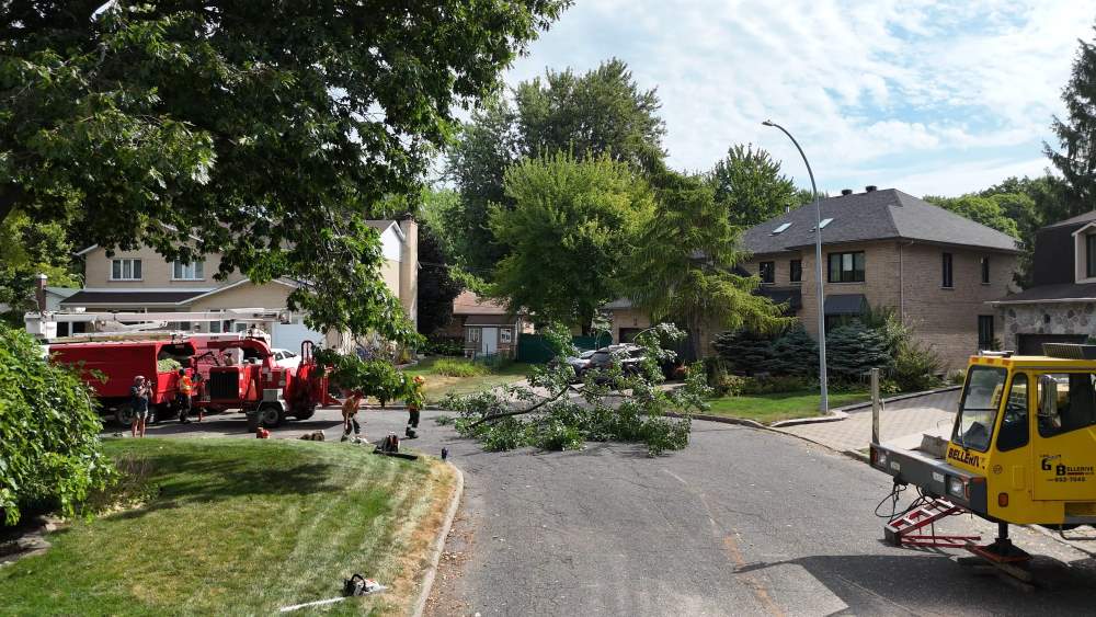 Réalisation de Clavette Émondage
