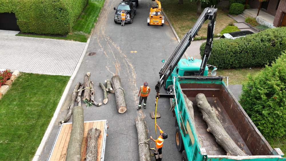 Réalisation de Clavette Émondage