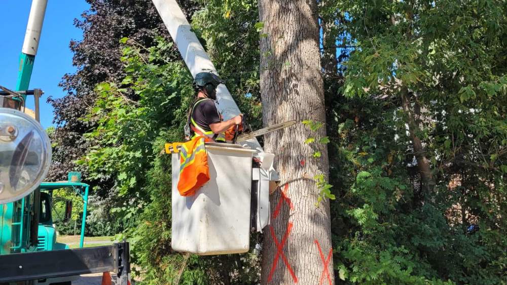 Réalisation de Clavette Émondage