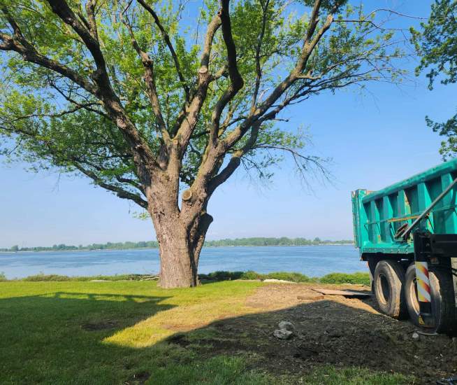 Élagage Saint-Bruno