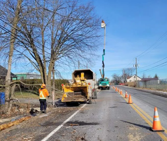 Déchiquetage de branches